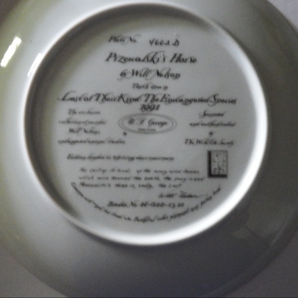 WS George china collectable from the Endangered Species collection - Picture 2 of 3